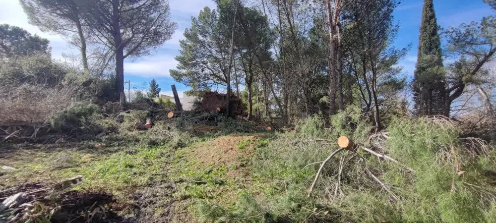 Élagage professionnel près de Barbaira